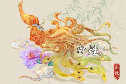 老皇历,择吉老黄历皇历,择吉老皇历
