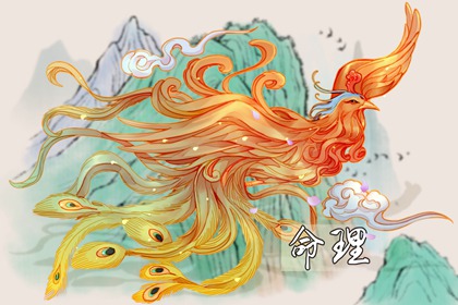 择吉黄历每日宜忌,择吉日大全,择吉老皇历